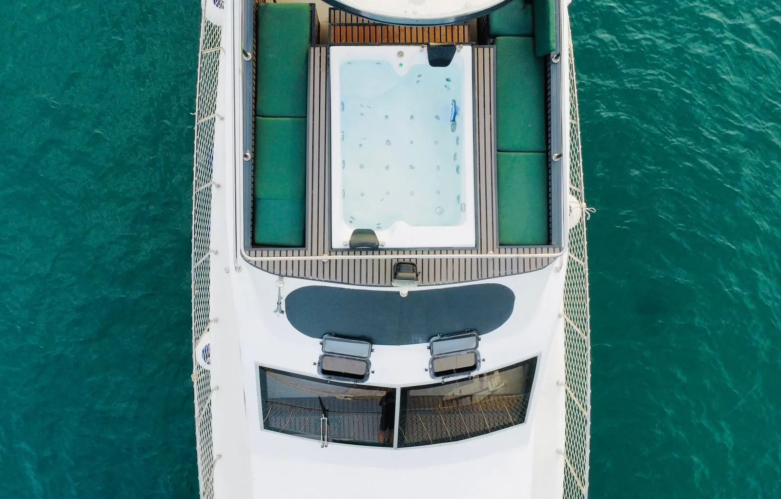 Free Lion - Gallery 6