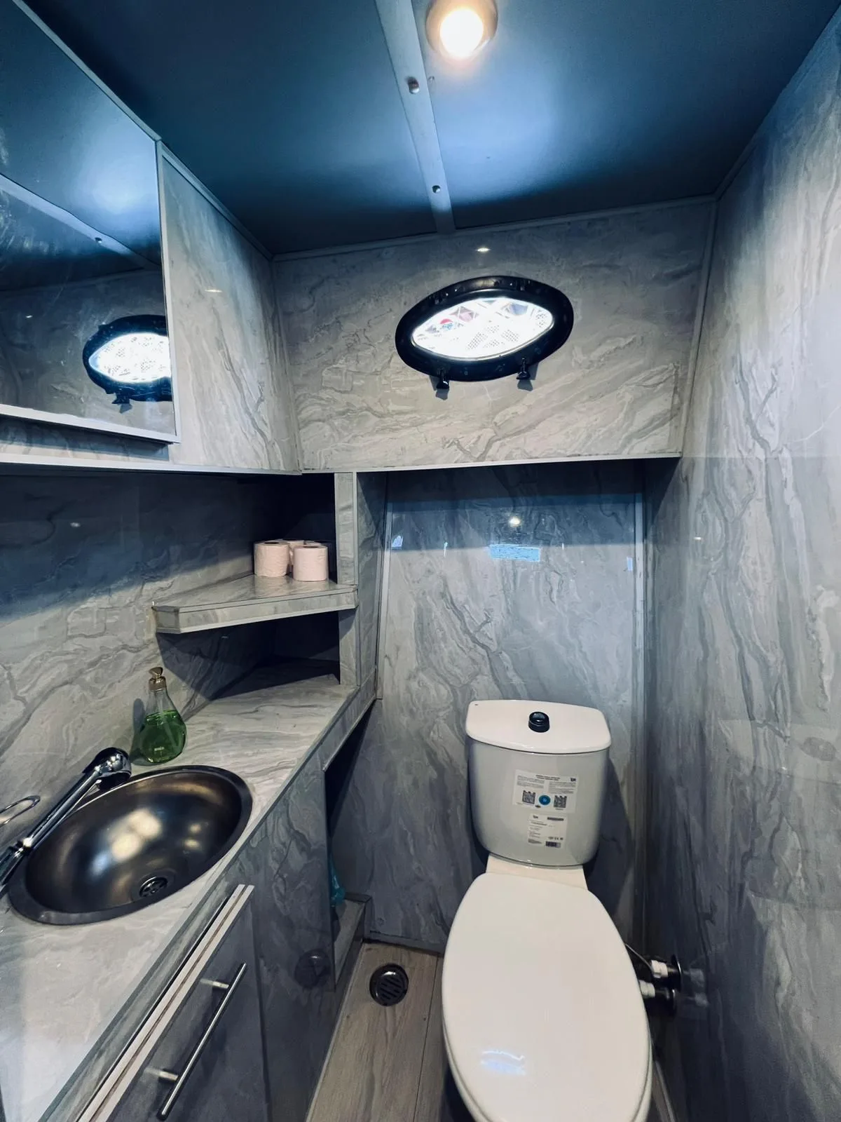 Free Lion - Gallery 7