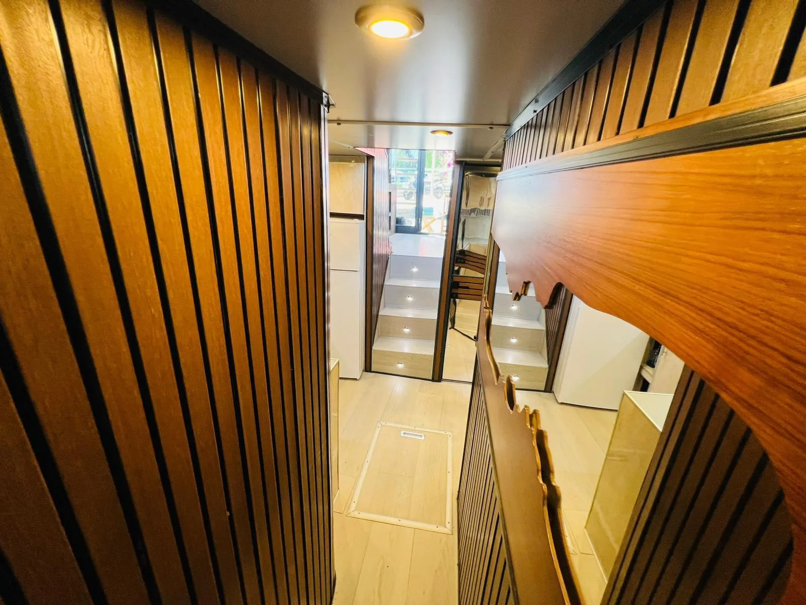 Free Lion - Gallery 10