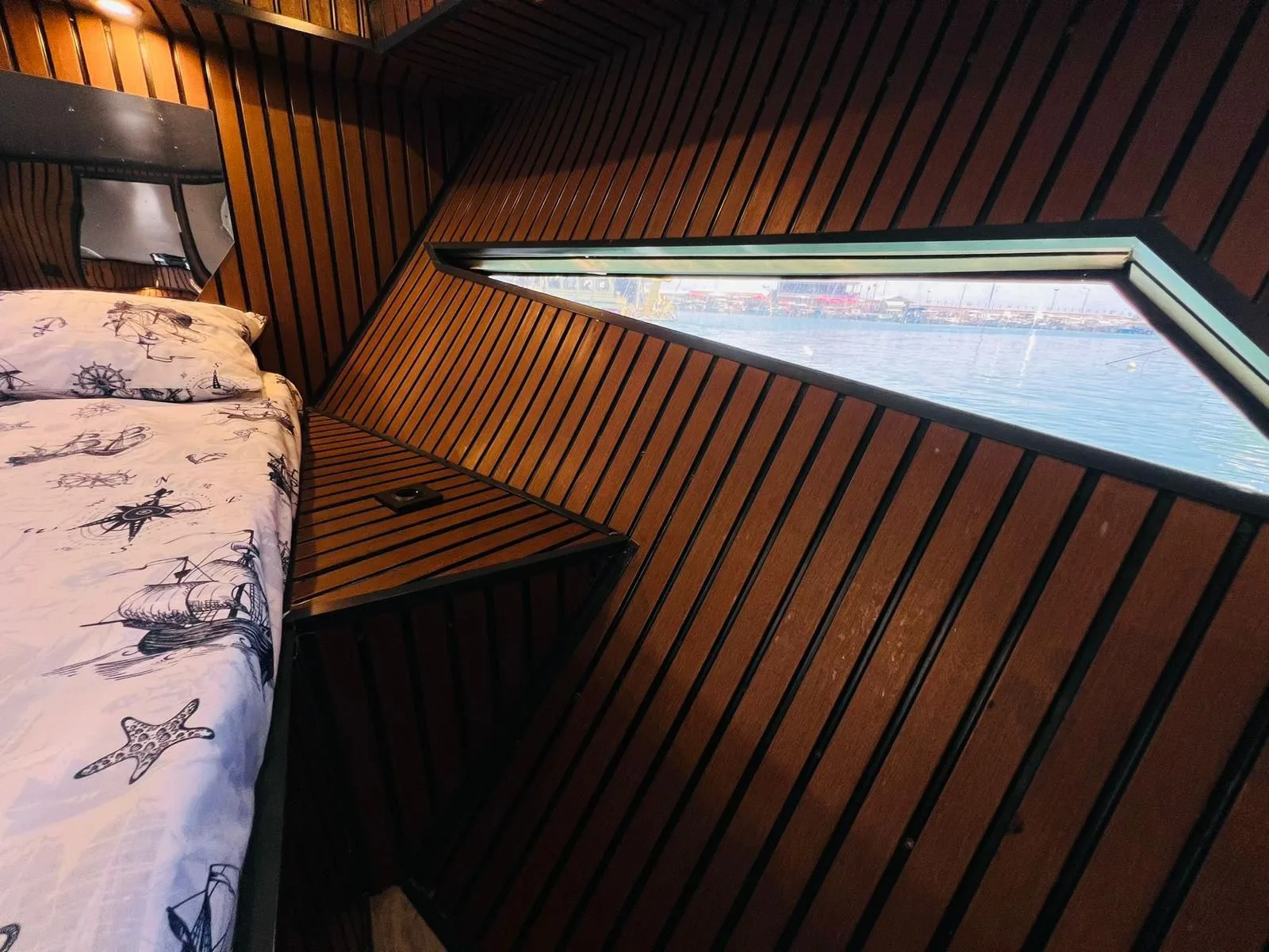 Free Lion - Gallery 15