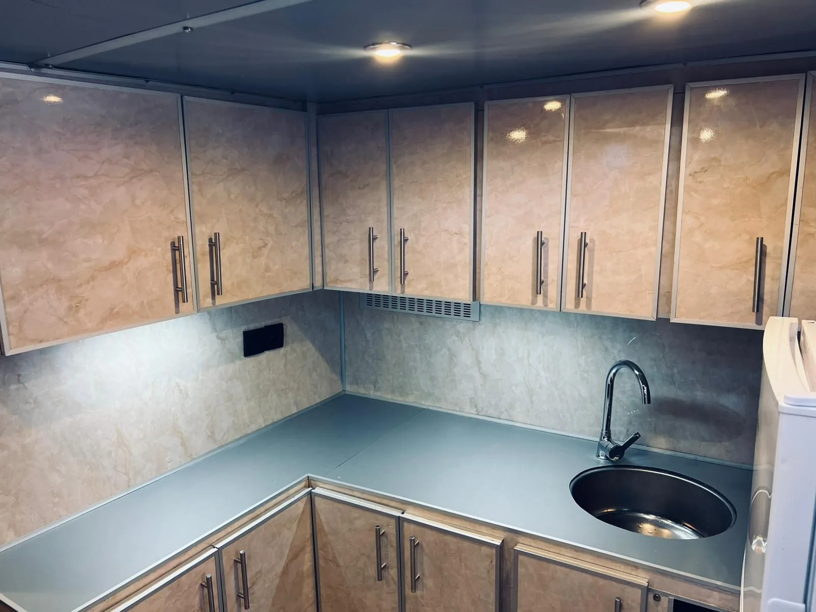 Free Lion - Gallery 13